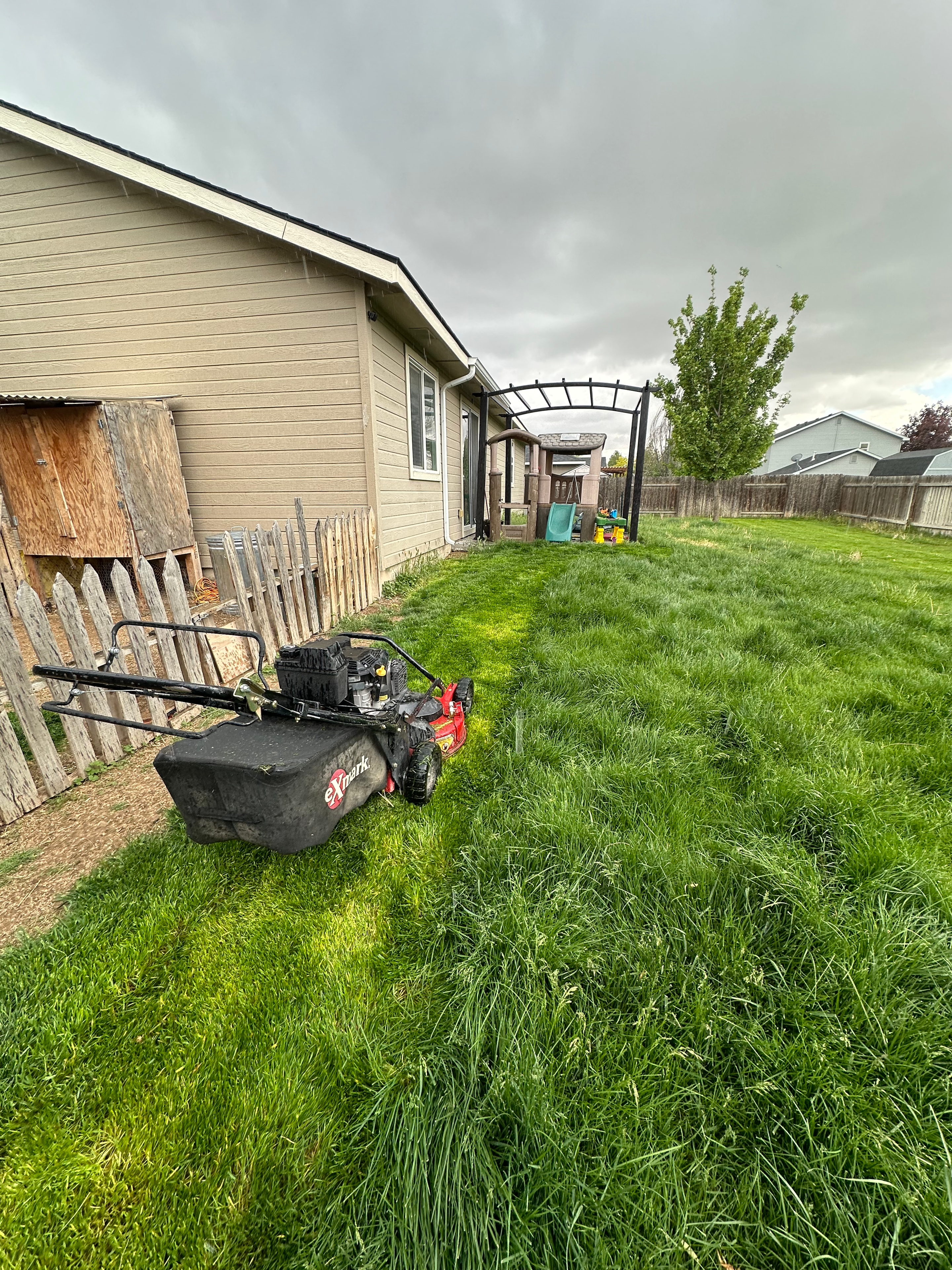 Lawn Mowing